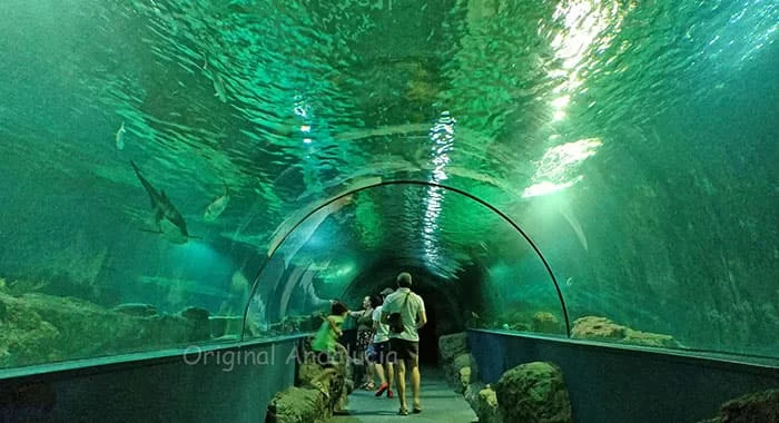 Aquarium in Almuñecar