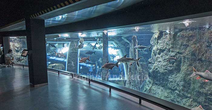 Wetenschapsmuseum van Granada