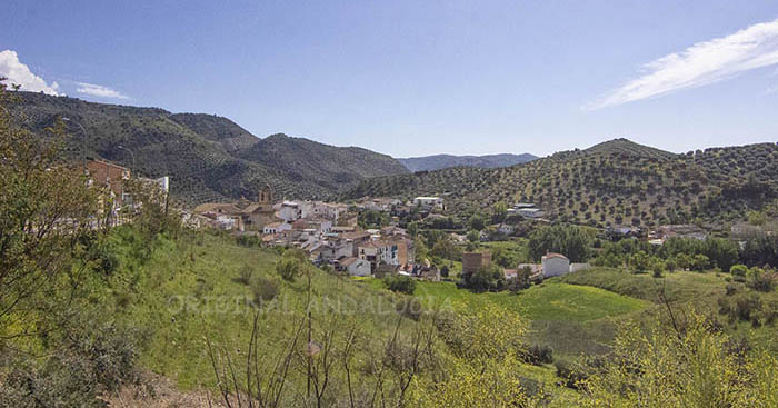 Algarinejo