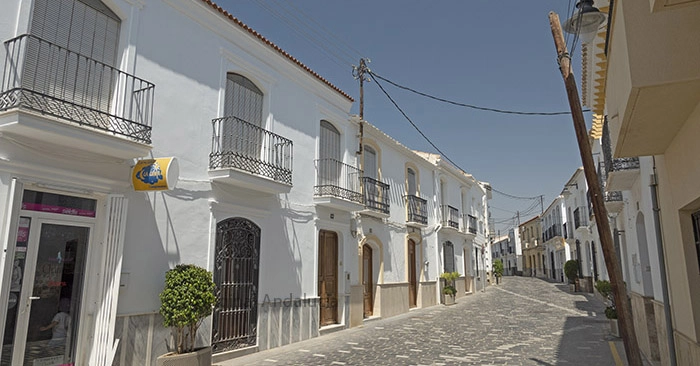 Antas