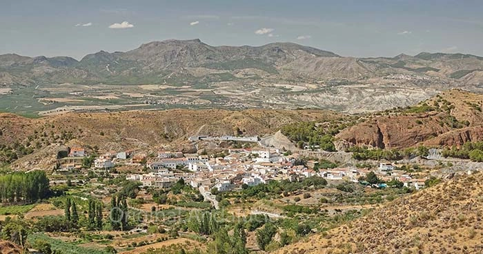 Bayarque