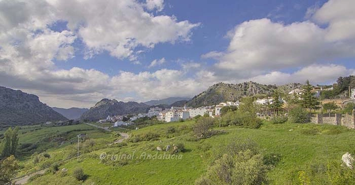 Benaocaz