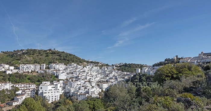 Casares