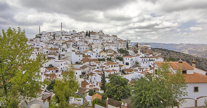 Comares