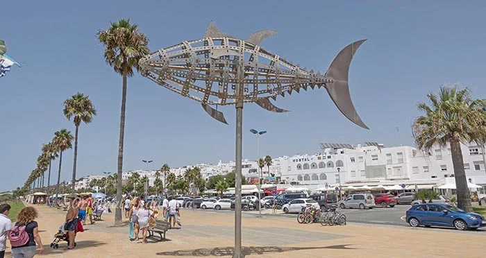 Conil de la Frontera