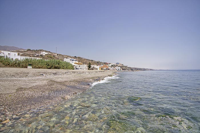 Guainos Bajos Almeria 03