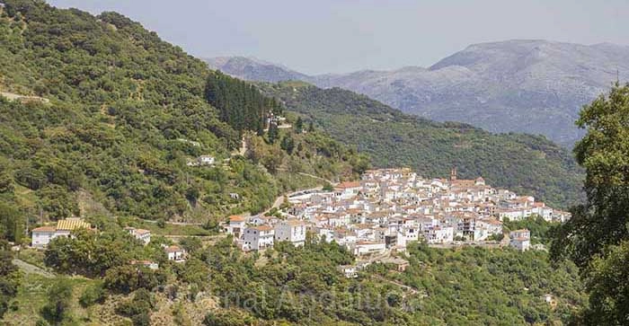 Benadalid , Malaga