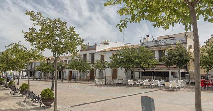 Fuente de Piedra