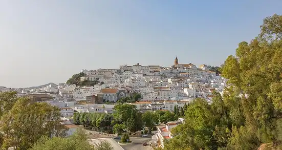 Alcalá de los Gazules