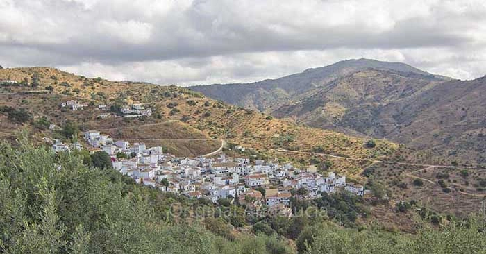 Olías