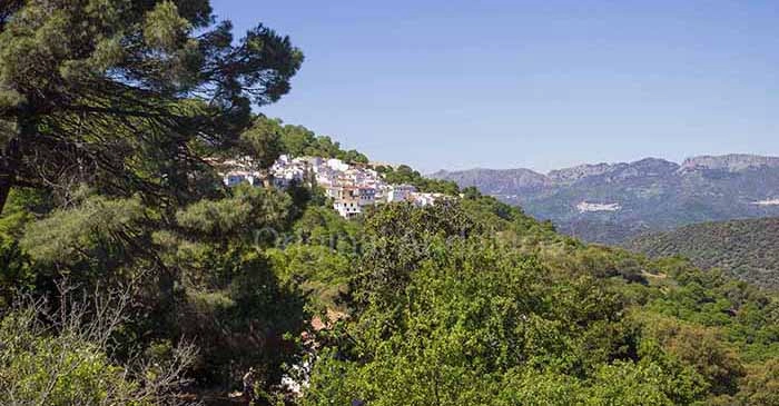 Pujerra