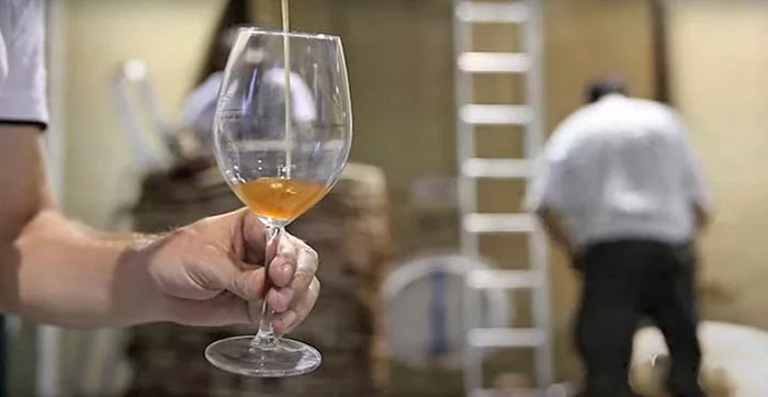 Biologische PX wijn van Bodegas Robles