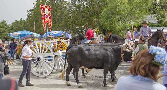 Romeria van Olvera