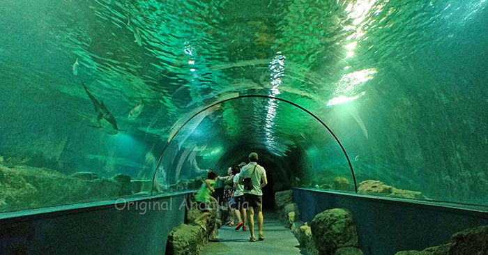 Aquarium in Almuñecar