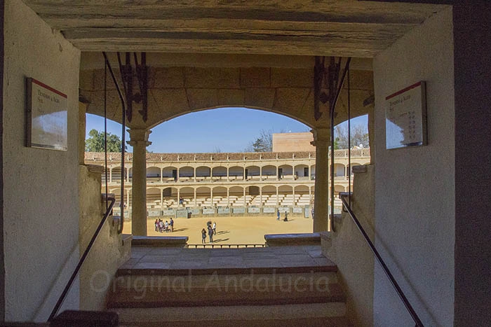 stieren arena ronda andalusie