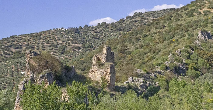 De overgebleven middeleeuwse toren van het Kasteel van de Pesquera op een rotsheuvel in Granada