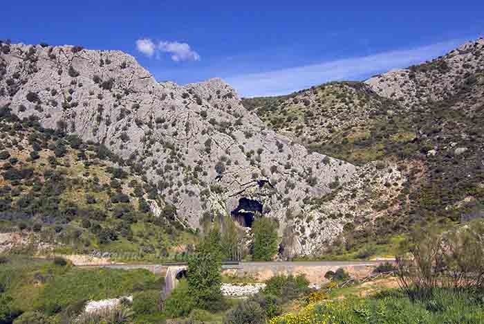 Cueva del Gato Benaojan