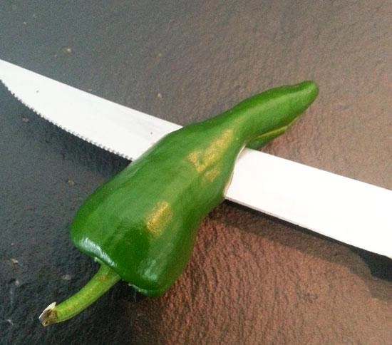 padron 02
