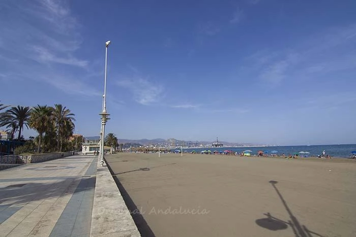 misecordia 2
